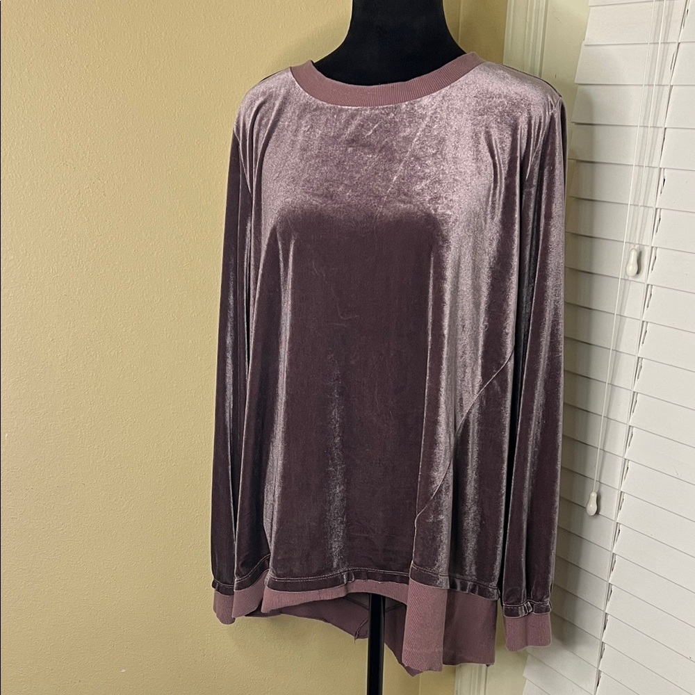 Easel Velvet Women's Top in Mauve with Asymmetrical Hem